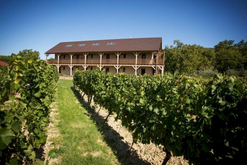 Jógový pobyt ve Vinohradě 14. - 16.8.2026