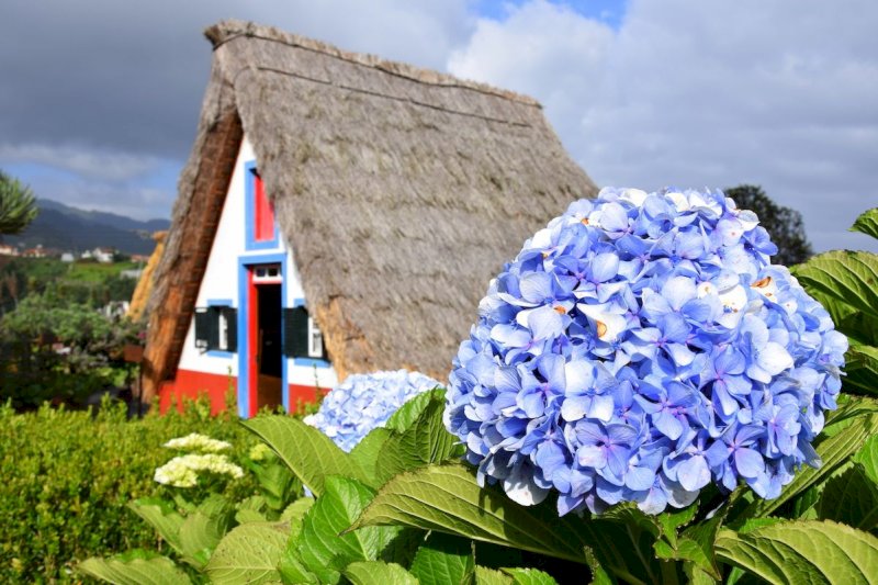 Jóga pobyt na Madeiře 18.-25.8.2026