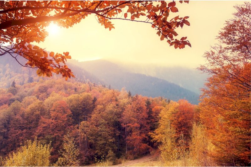 Jógový víkend ve wellness hotelu Gendorf 6.11.- 8.11.2026